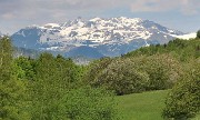 28 Zoom sul gruppo Avaro, Valletto, Pietra Quadra...